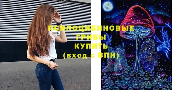 молекула духа Белокуриха