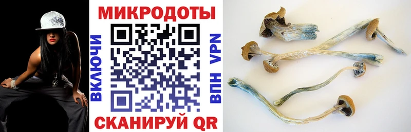 Псилоцибиновые грибы мицелий  Заречный 